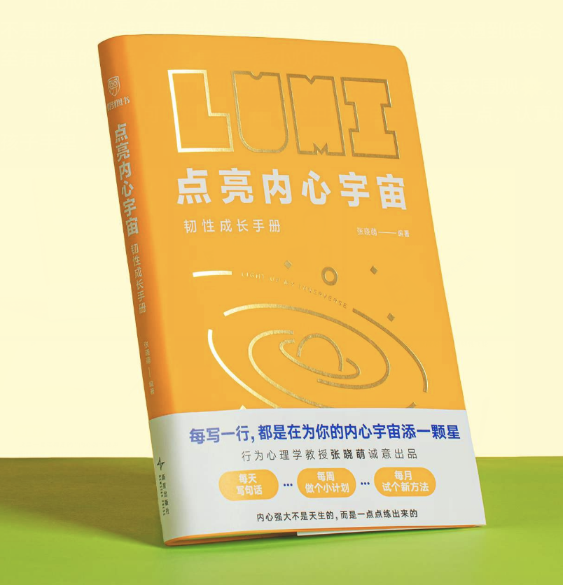 LUMI Workbook